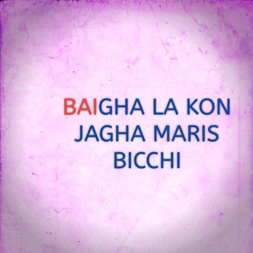 BAIGHA LA KON JAGHA MARIS BICCHI