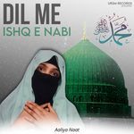 DIL ME ISHQ E NABI