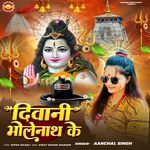 Deevani Bholenath Ke