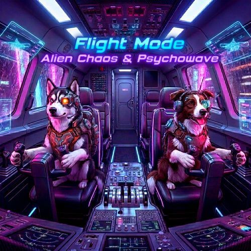 Flight Mode