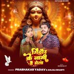 Gidhaur Ke Nami Hai Mela