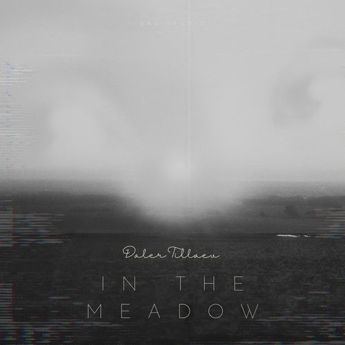 In the meadow