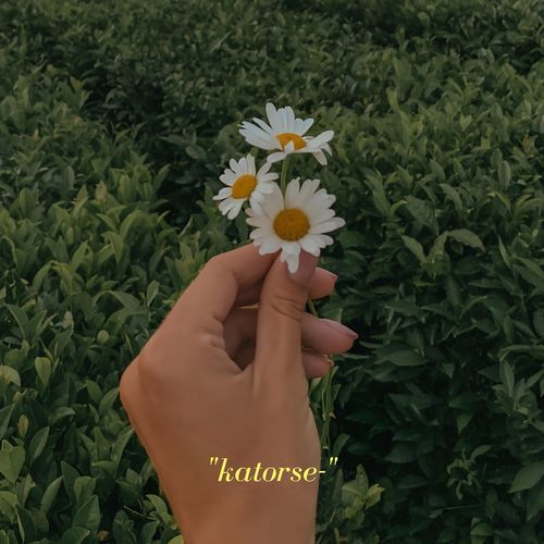 Katorse cover art