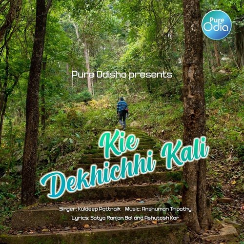 Kie Dekhichhi Kali