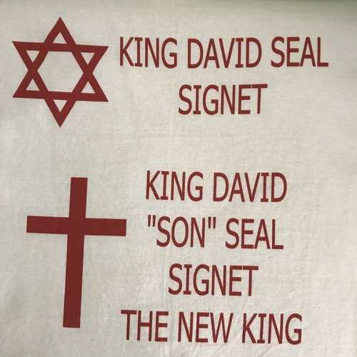 King David Seal Signet King David Son Seal Signet the New King cover art