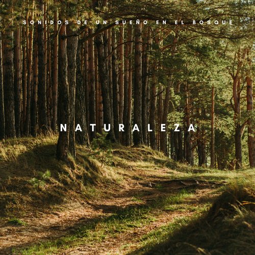Naturaleza: Sonidos De Un Sueño En El Bosque