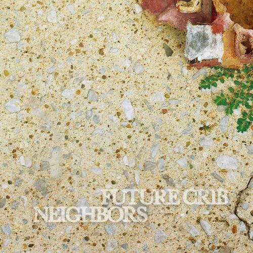 Neighbors cover art