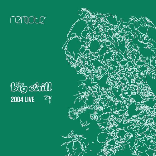 Remote: The Big Chill 2004 Live