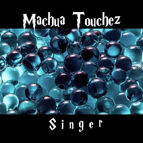 Singer cover art