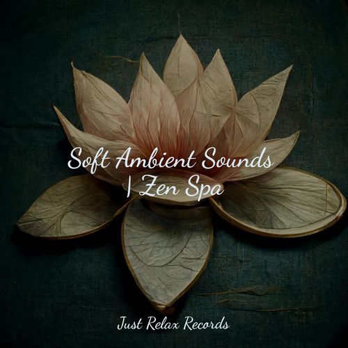 Euphoric Tides of Melody cover art