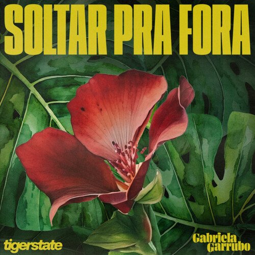 Soltar Pra Fora_poster_image