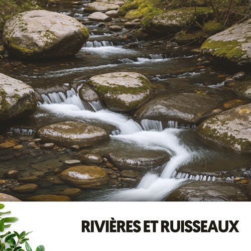 Sons de la Rivière et Musique : Le Chant du Courant_poster_image