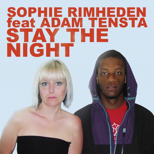 Stay the Night Remixes_poster_image