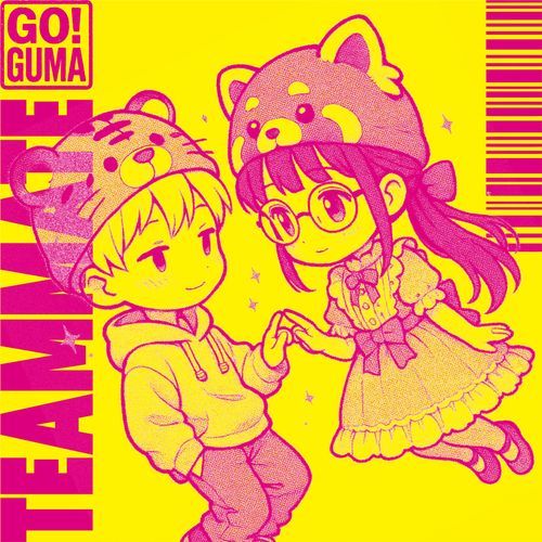 Teammate cover art