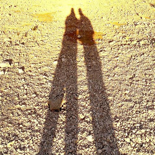 Till the weather changes