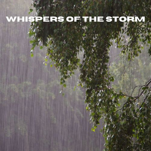 Whispers of the Storm_poster_image