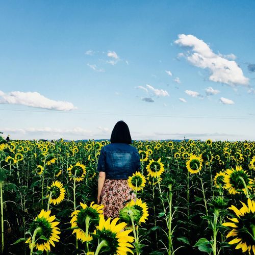Naoya Te cover art