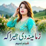 Zama Meena Di Hera Ka