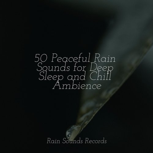 50 Peaceful Rain Sounds for Deep Sleep and Chill Ambience