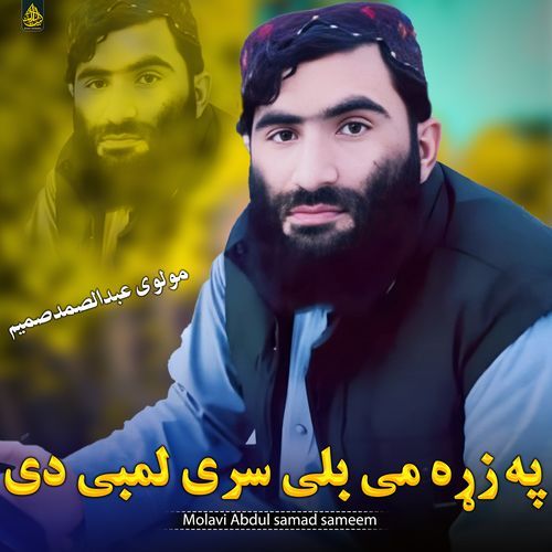 په زړه می بلی سری لمبی دی