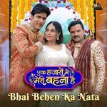 Bhai Behen Ka Nata (From "Ek Hazaro Mai Meri Behna Hai")