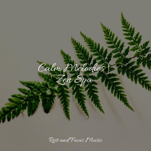 Calm Melodies | Zen Spa