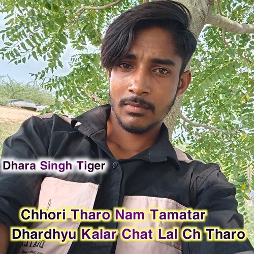 Chhori Tharo Nam Tamatar Dhardhyu