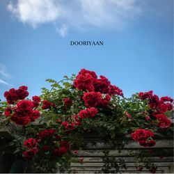 Dooriyaan (Acoustic)-EgEgaAFYY2A