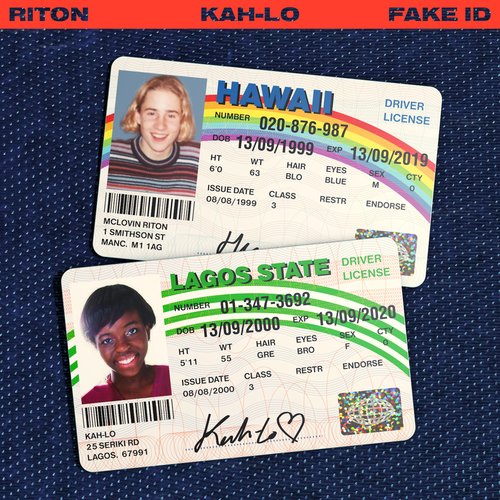 Fake Id_poster_image