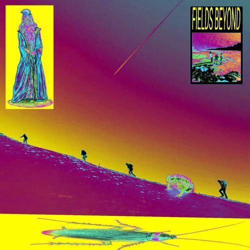All The Fish In The Aquarium Have Better Career Prospects Than Me cover art