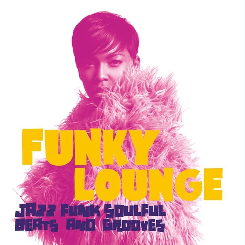 Funky Lounge (Jazz Funk Soulful Beats and Grooves)