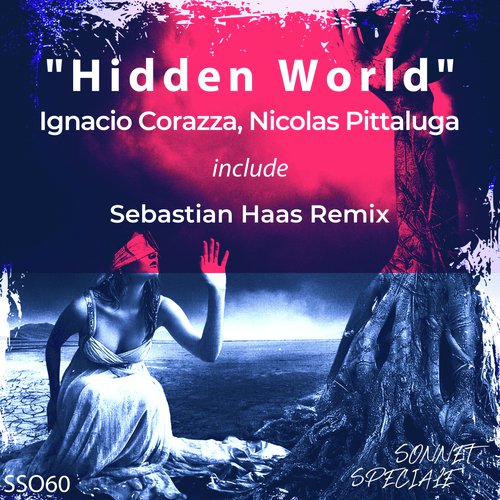 Hidden World (Sebastian Haas Remix)