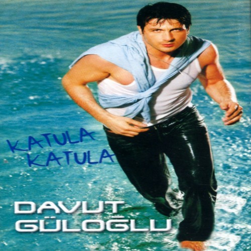 Davut Guloglu