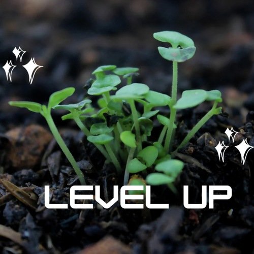 Level Up
