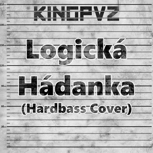 Logická Hádanka (Hardbass Cover)