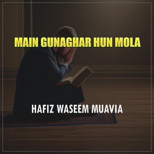 Main Gunaghar Hun Mola