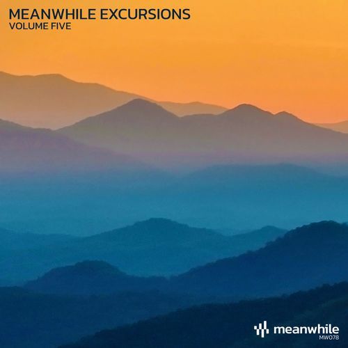 Meanwhile Excursions, Vol. 5