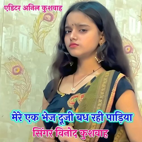 Mere Ek Bhes Duji Badh rahi padiya cover art