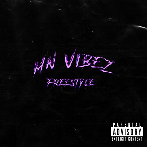 Mn Vibez (Freestyle) cover art