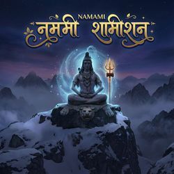 Namami Shamishan