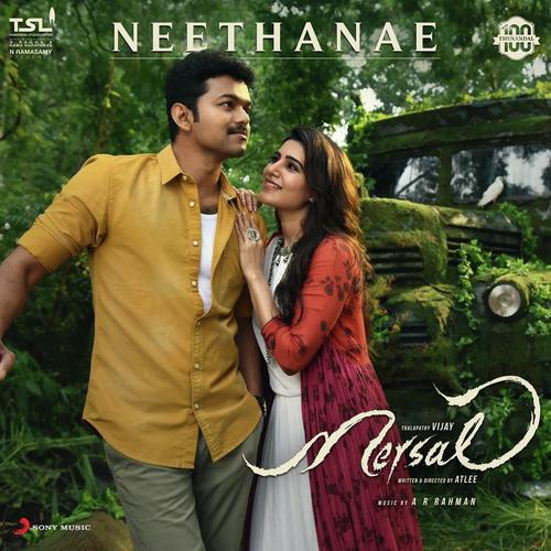 Neethanae From Mersal Songs Download Free Online Songs Jiosaavn Download the songs from here. neethanae from mersal songs