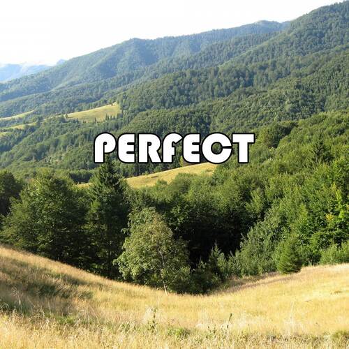 Perfect