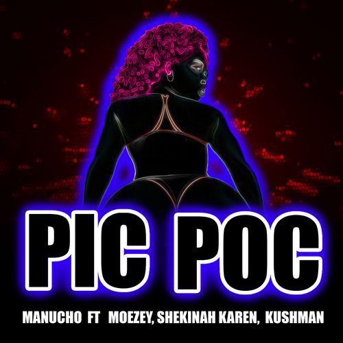 Pic Poc