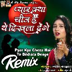 Pyar Kya Cheez Hai Ye Dikhala Denge Remix