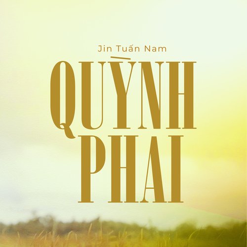 Quỳnh Phai_poster_image