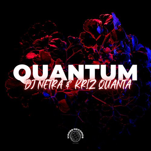 Quantum cover art