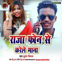 Raja Phone Se Kare Le Mana - Single