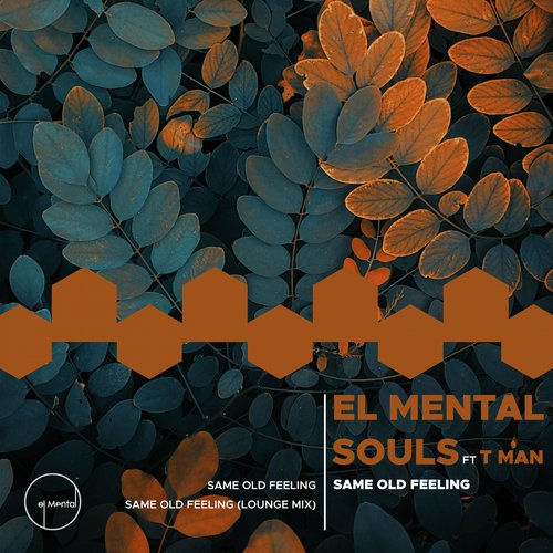 Same Old Feeling (feat. Tman) (Original Mix)