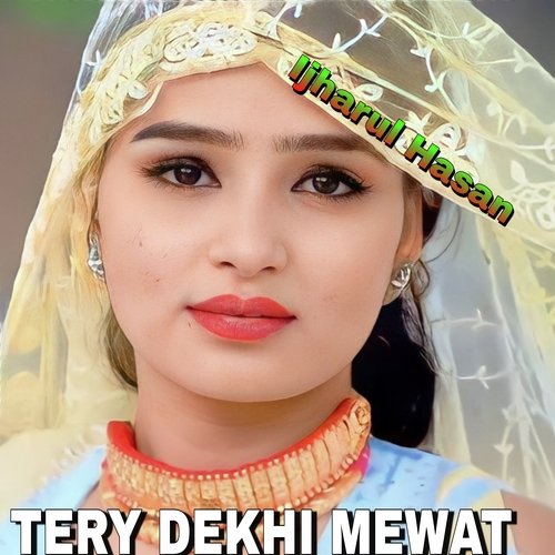 TERY DEKHI MEWAT