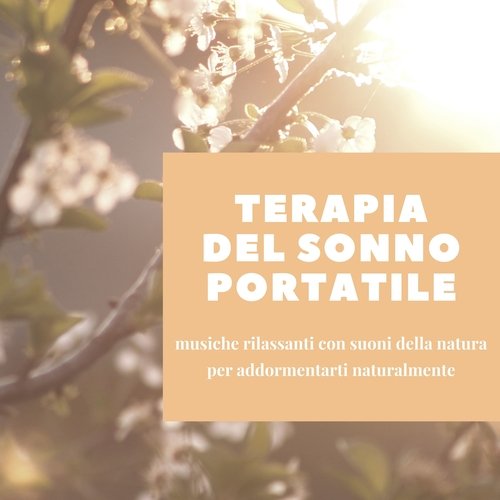 Suoni per dormire cover art